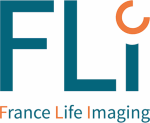 FLI
